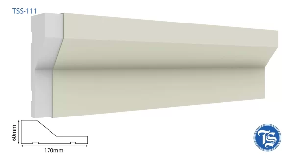 TSS-111