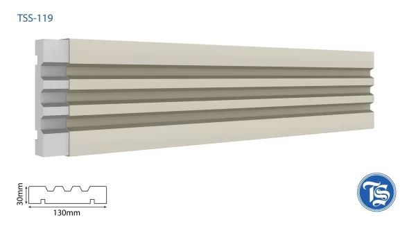TSS-119